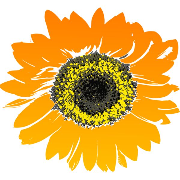 mokush Sunflower Thumbnail