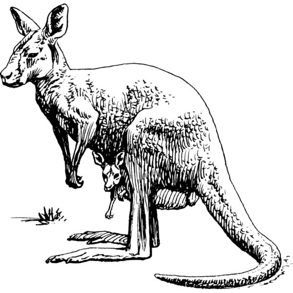 1298073391  2  Thumbnail