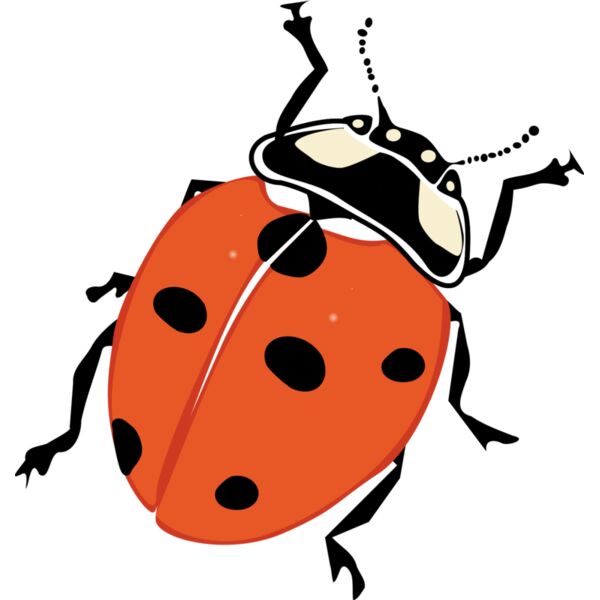 mekonee 29 ladybug 1 Thumbnail