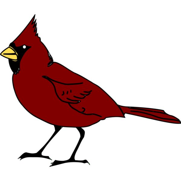 RobGTX Cardinal Thumbnail