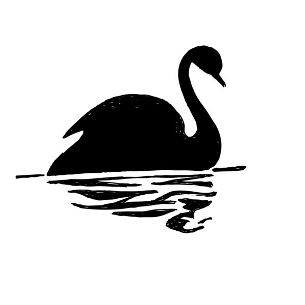 black swan  2  Thumbnail