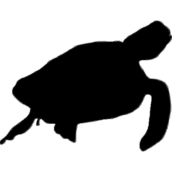 sea turtle silloet Thumbnail