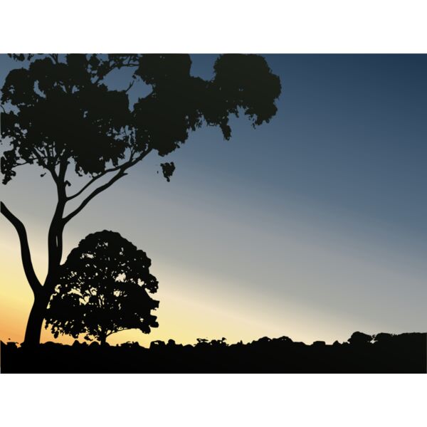 winter15 sunset Jul 2011 royal park Thumbnail