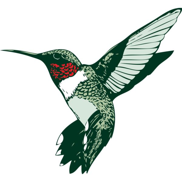 ruby throated hummer Thumbnail