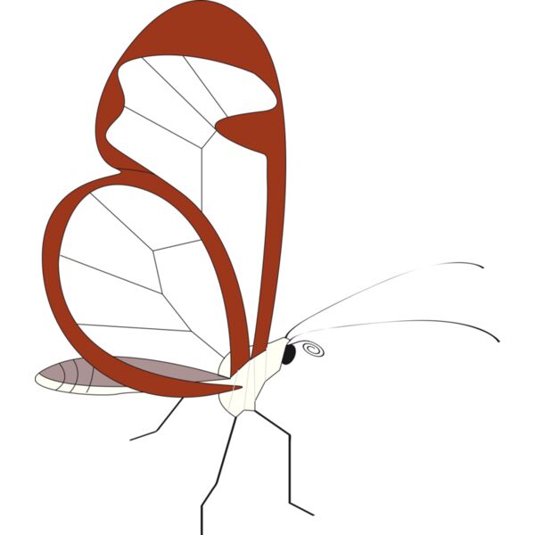 papillon de plus Thumbnail