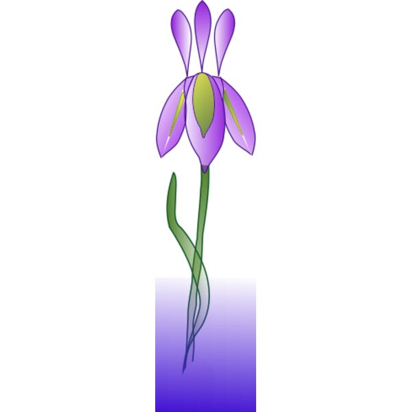 missiridia Iris Thumbnail