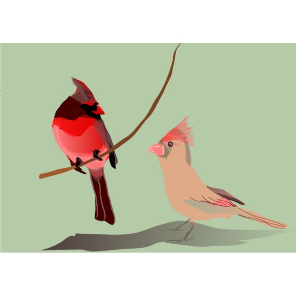 Reedabadeeda It Must Be Love  Thumbnail