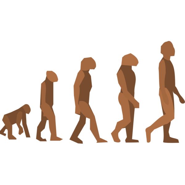 Anonymous evolution steps Thumbnail