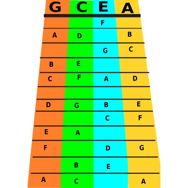 Ukulele Finger Frets Thumbnail