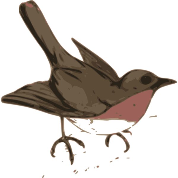 ossidiana bird illustration Thumbnail