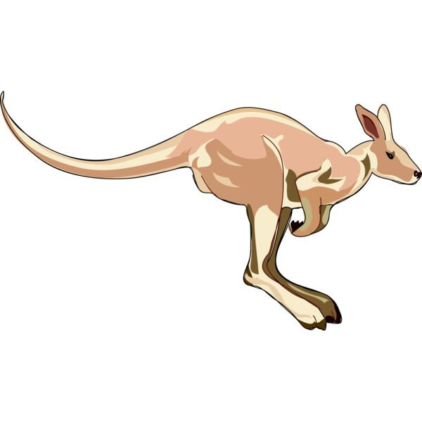 Anonymous Architetto    Canguro Thumbnail