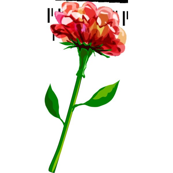 hrum red flower Thumbnail