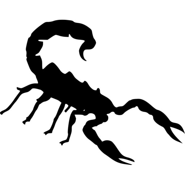scorpion Thumbnail