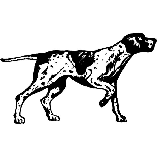 1298137186  2  Thumbnail