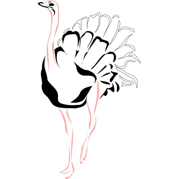 ostrich Thumbnail