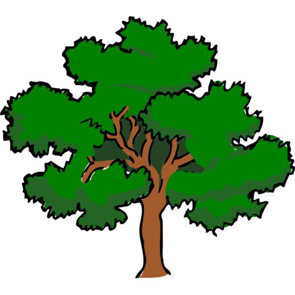 tree oak400px Thumbnail