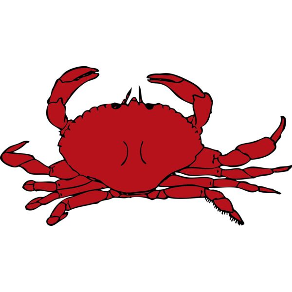 johnny automatic crab Thumbnail