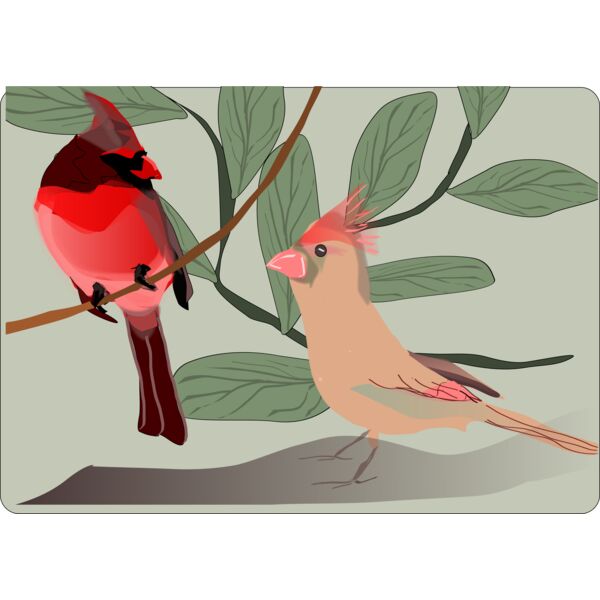 88dd96  2  Thumbnail