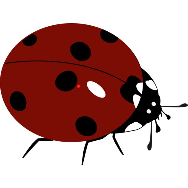 1368310520  2  Thumbnail