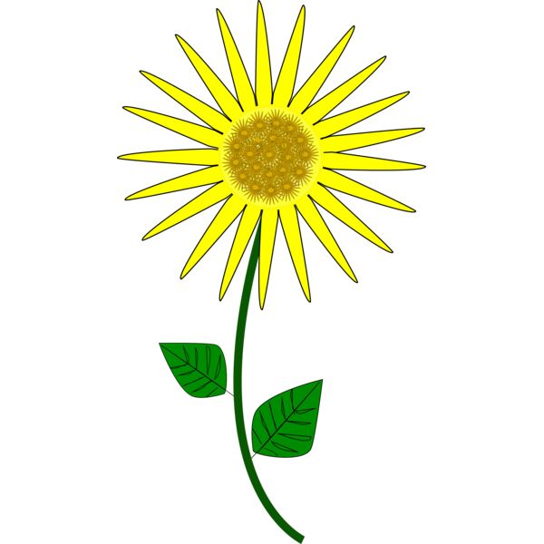 1277568265  2  Thumbnail