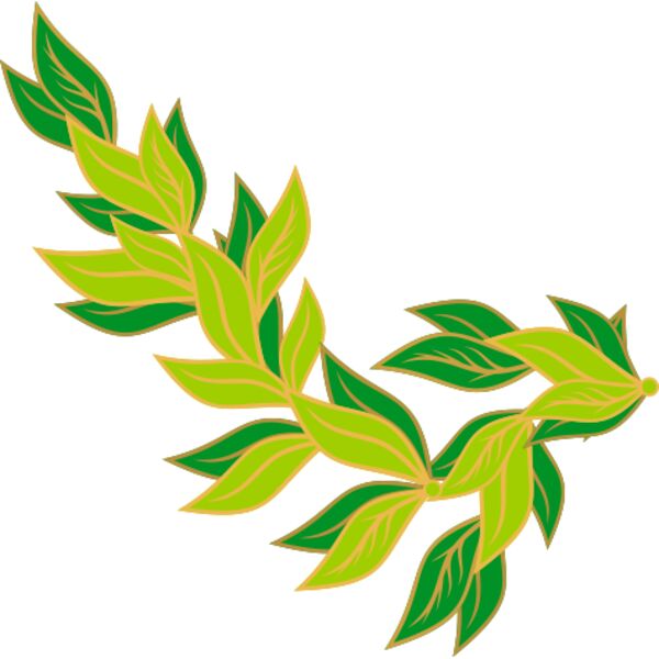 maxim2 bay leaf Thumbnail