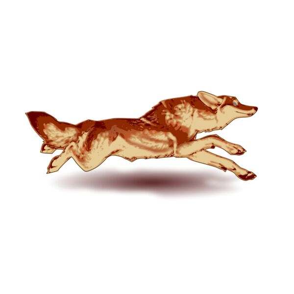 tomas arad fox Thumbnail