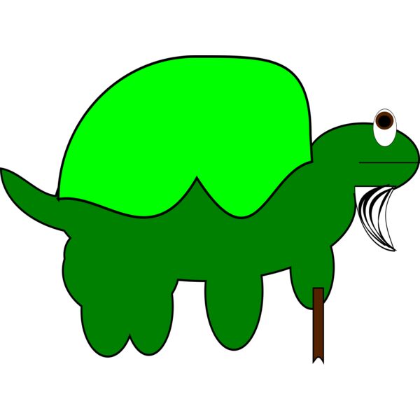 turtle Thumbnail