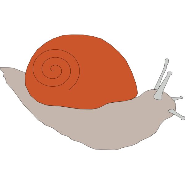 Machovka snail1 Thumbnail