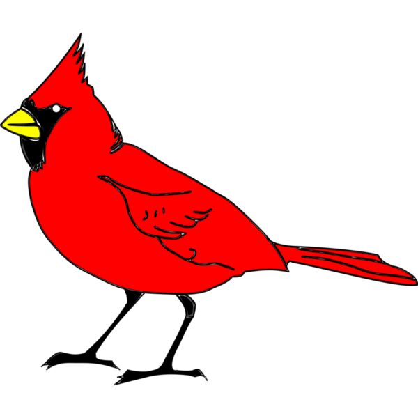 RobGTX Cardinal remix 1 plain Thumbnail