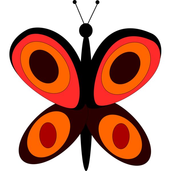 Machovka little butterfly Thumbnail