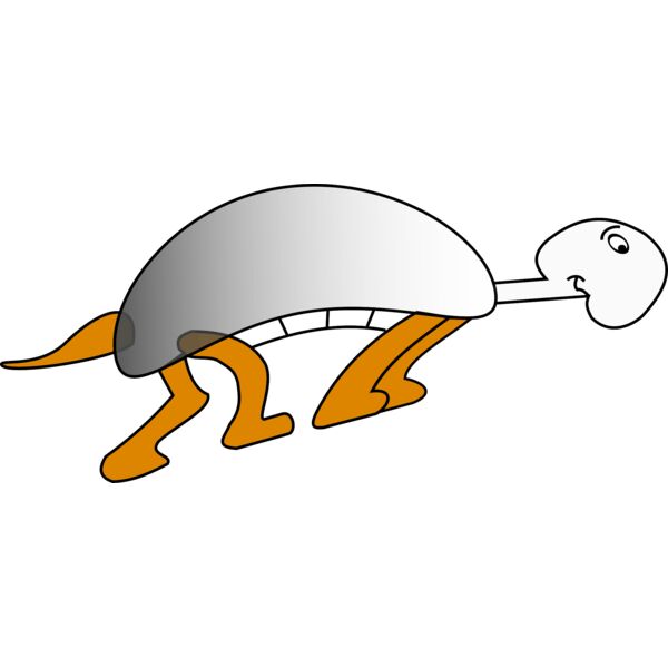 roym tortue1 Thumbnail