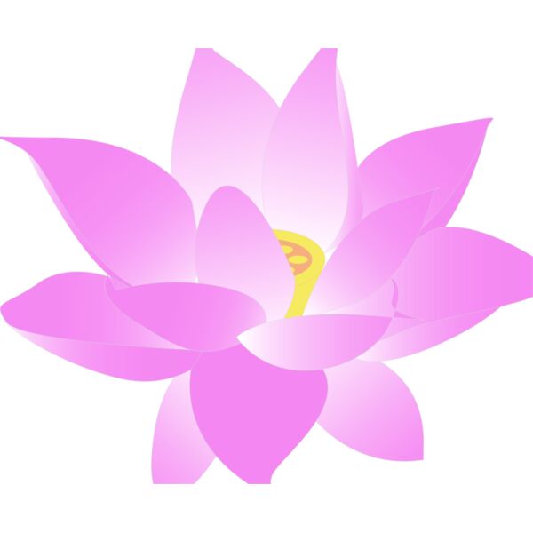 lotus fleur Thumbnail