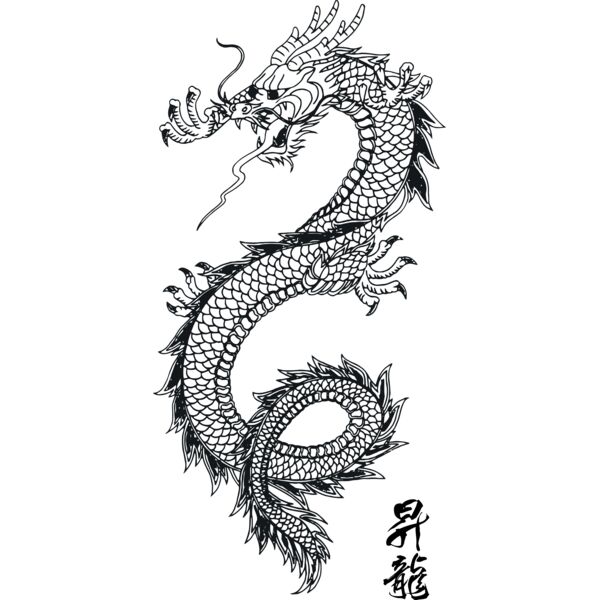 samuraiagency Dragon Vector Art 1 Thumbnail