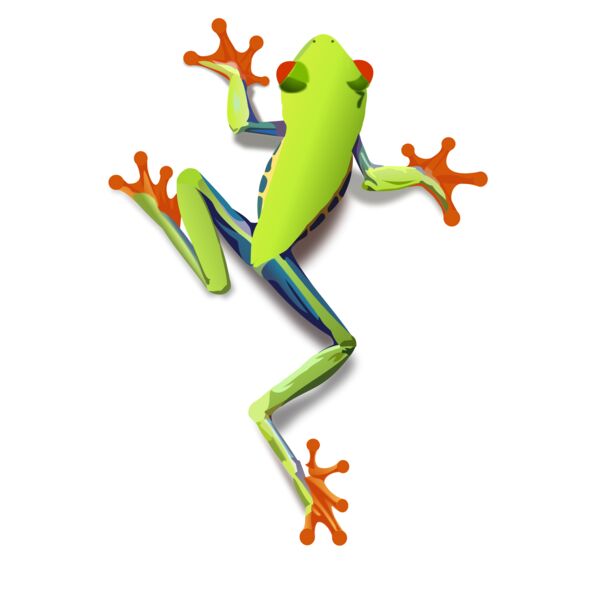 treefrog 1 Thumbnail