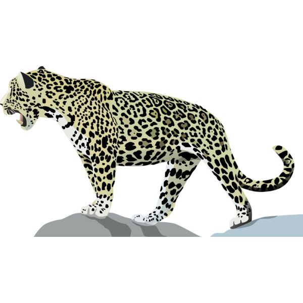 1277871164  2  Thumbnail