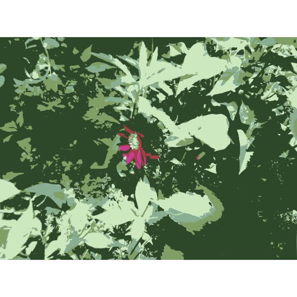 Original Aiflowers 227 Thumbnail