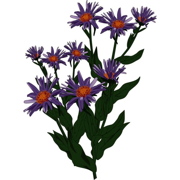 1392375506  2  Thumbnail