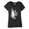 Women's Triblend Short Sleeve Tee Thumbnail