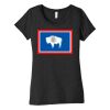 Women's Triblend Short Sleeve Tee Thumbnail