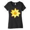 Women's Triblend Short Sleeve Tee Thumbnail