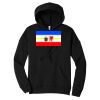 Unisex Sponge Fleece Pullover DTM Hoodie Thumbnail