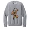 Unisex Sponge Fleece Raglan Sweatshirt Thumbnail