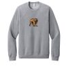 Unisex Sponge Fleece Raglan Sweatshirt Thumbnail