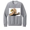 Unisex Sponge Fleece Raglan Sweatshirt Thumbnail