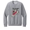 Unisex Sponge Fleece Raglan Sweatshirt Thumbnail