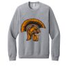 Unisex Sponge Fleece Raglan Sweatshirt Thumbnail