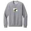 Unisex Sponge Fleece Raglan Sweatshirt Thumbnail