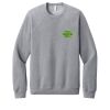 Unisex Sponge Fleece Raglan Sweatshirt Thumbnail