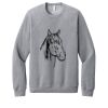 Unisex Sponge Fleece Raglan Sweatshirt Thumbnail