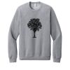 Unisex Sponge Fleece Raglan Sweatshirt Thumbnail